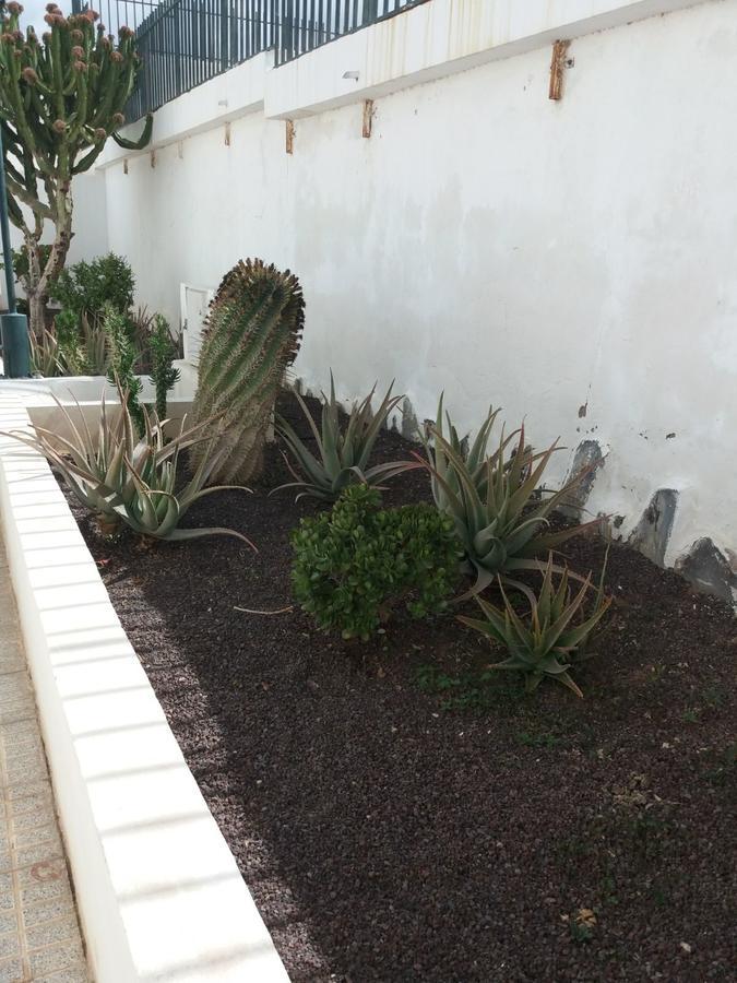 Maison Chayofita Tenerife Costa Del Silencio Ngoại thất bức ảnh